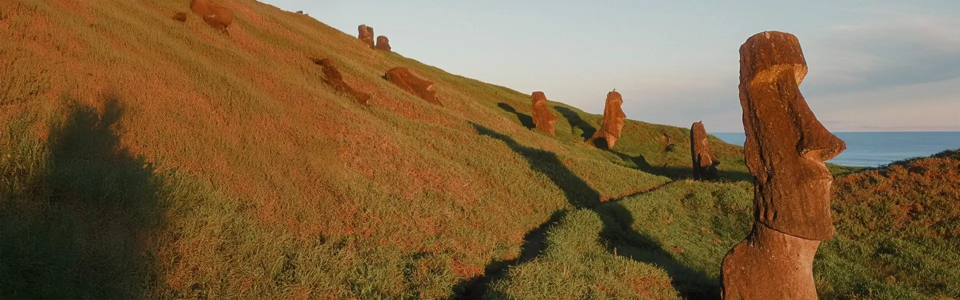 4 continenti, 63 destinazioni e 29 Paesi