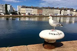 Immagine di Cherbourg