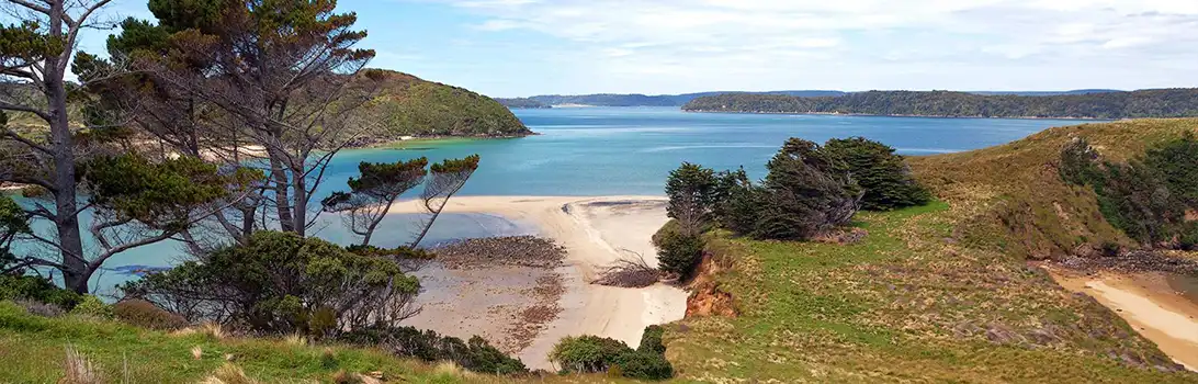Stewart Island