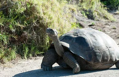 Foto 6 Celebrity Xperience