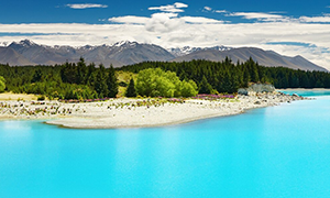 immagine di Nuova Zelanda